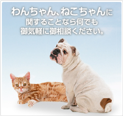 󡢤ͤ˴ؤ뤳Ȥʤ鲿Ǥ̤