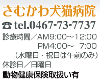 फ︤ǭ±tel.0467-73-7737 Ż/AM9:0012:00PM4:00700(ˤϸΤ)ٿ/ưʪݸ谷ͭ
